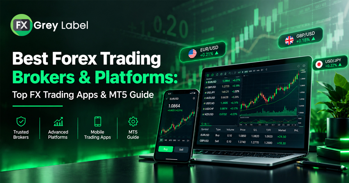 Forex Trading Brokers